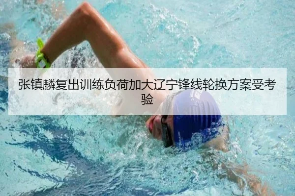 张镇麟复出训练负荷加大辽宁锋线轮换方案受考验